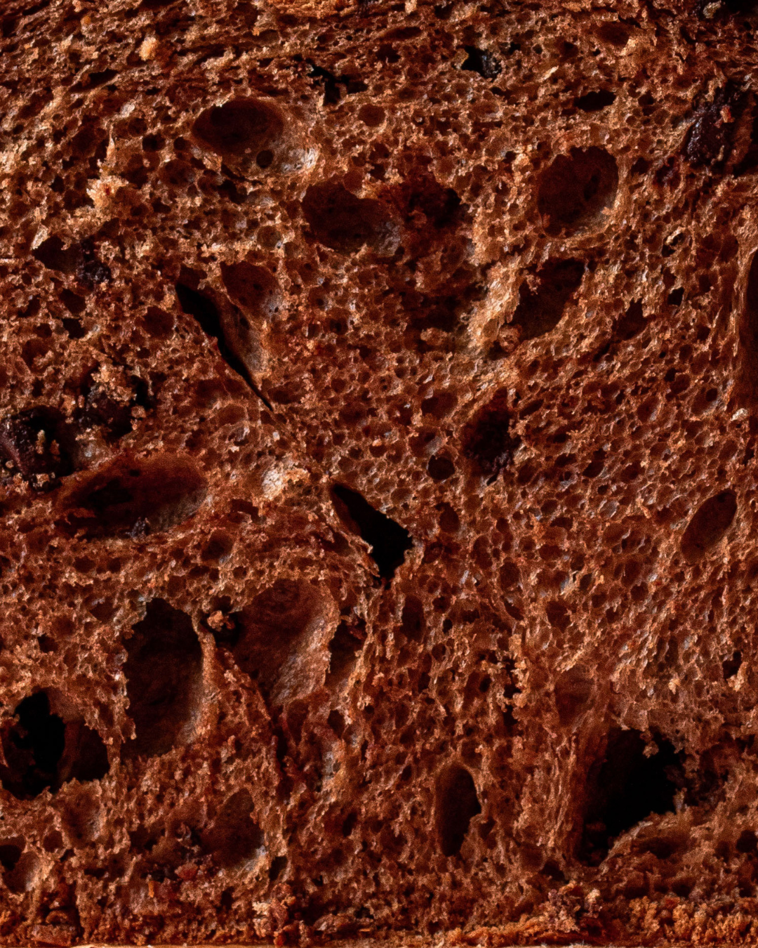 Panettone al cioccolato