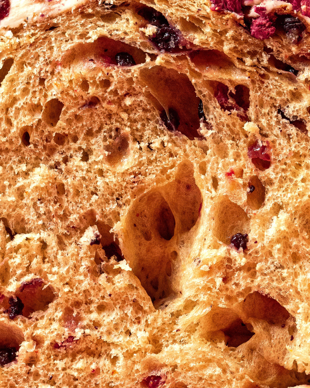 Panettone ai frutti di bosco