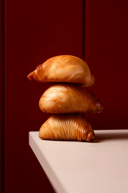 Sfogliatella Riccia Napoletana
